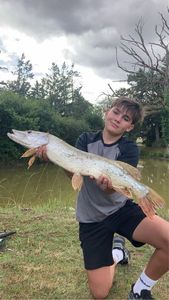 Northern Pike