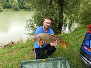 Common Carp