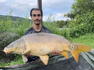 Mirror Carp