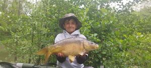 Mirror Carp