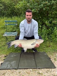 Grass Carp