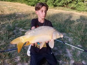 Mirror Carp