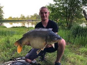Mirror Carp