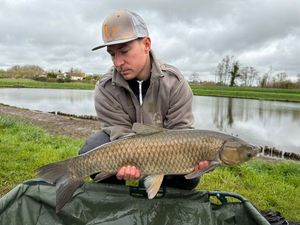 Grass Carp