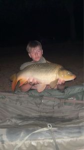 Common Carp