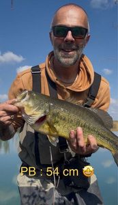 Largemouth Bass