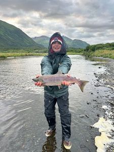 Kokanee