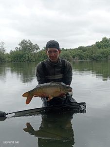 Mirror Carp