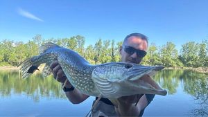 Northern Pike