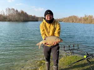 Common Bream