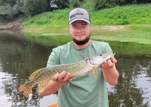 Northern Pike