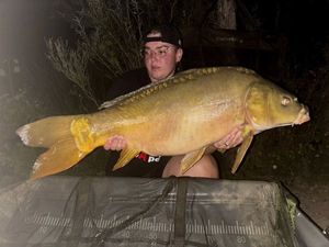 Mirror Carp