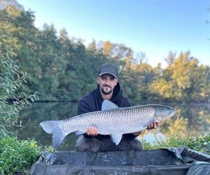 Grass Carp