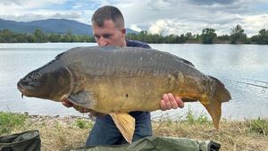 Mirror Carp