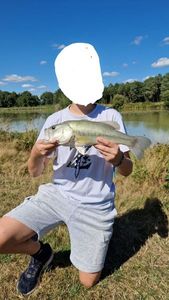 Largemouth Bass