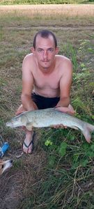 Barbel