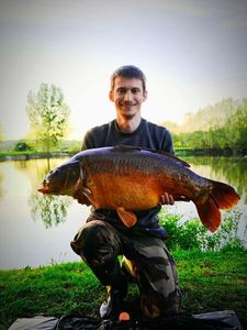 Mirror Carp