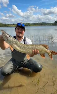 Northern Pike