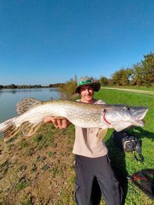 Northern Pike