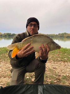 Mirror Carp