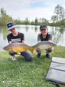 Mirror Carp