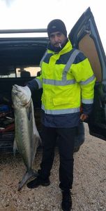 Leerfish (Garrick)