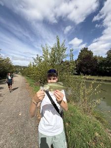 Largemouth Bass