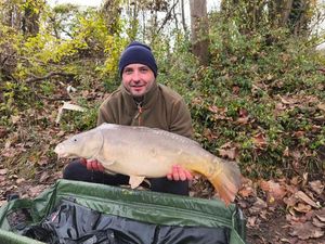 Mirror Carp