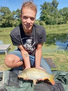 Common Carp