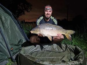Mirror Carp