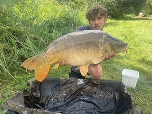 Mirror Carp