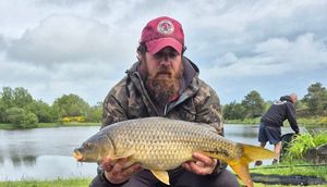 Common Carp