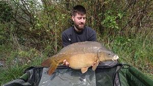 Mirror Carp
