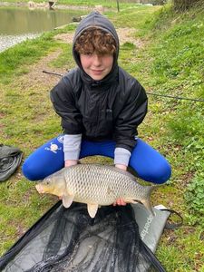 Common Carp