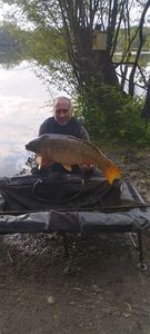 Mirror Carp