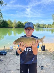 Common Bream