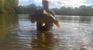 Mirror Carp