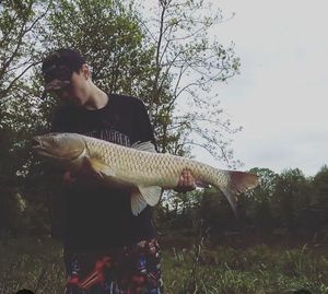 Grass Carp