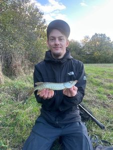 Northern Pike