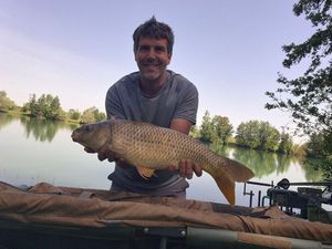 Common Carp
