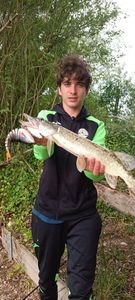 Northern Pike