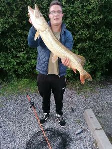 Northern Pike