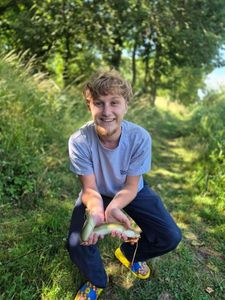 European Eel (Common Eel)