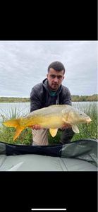 Mirror Carp