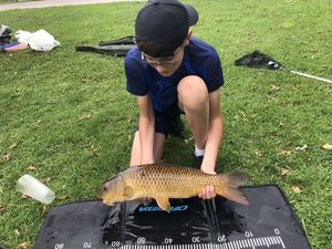 Grass Carp