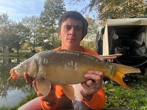 Mirror Carp