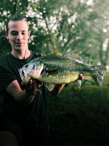 Largemouth Bass