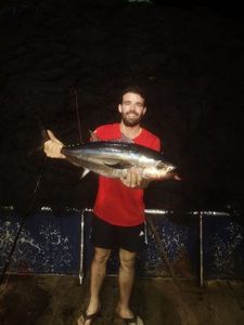 Bigeye Tuna (Pacific)