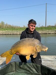 Leather Carp
