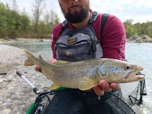 Marble Trout
